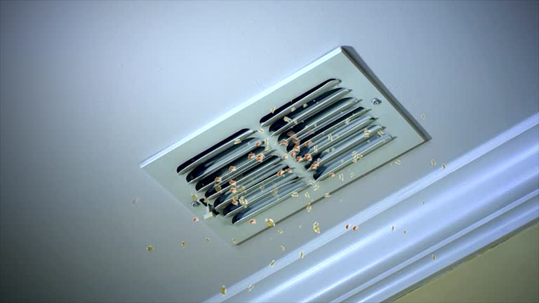 Best Professional Duct Cleaning Services  in Laureles, TX